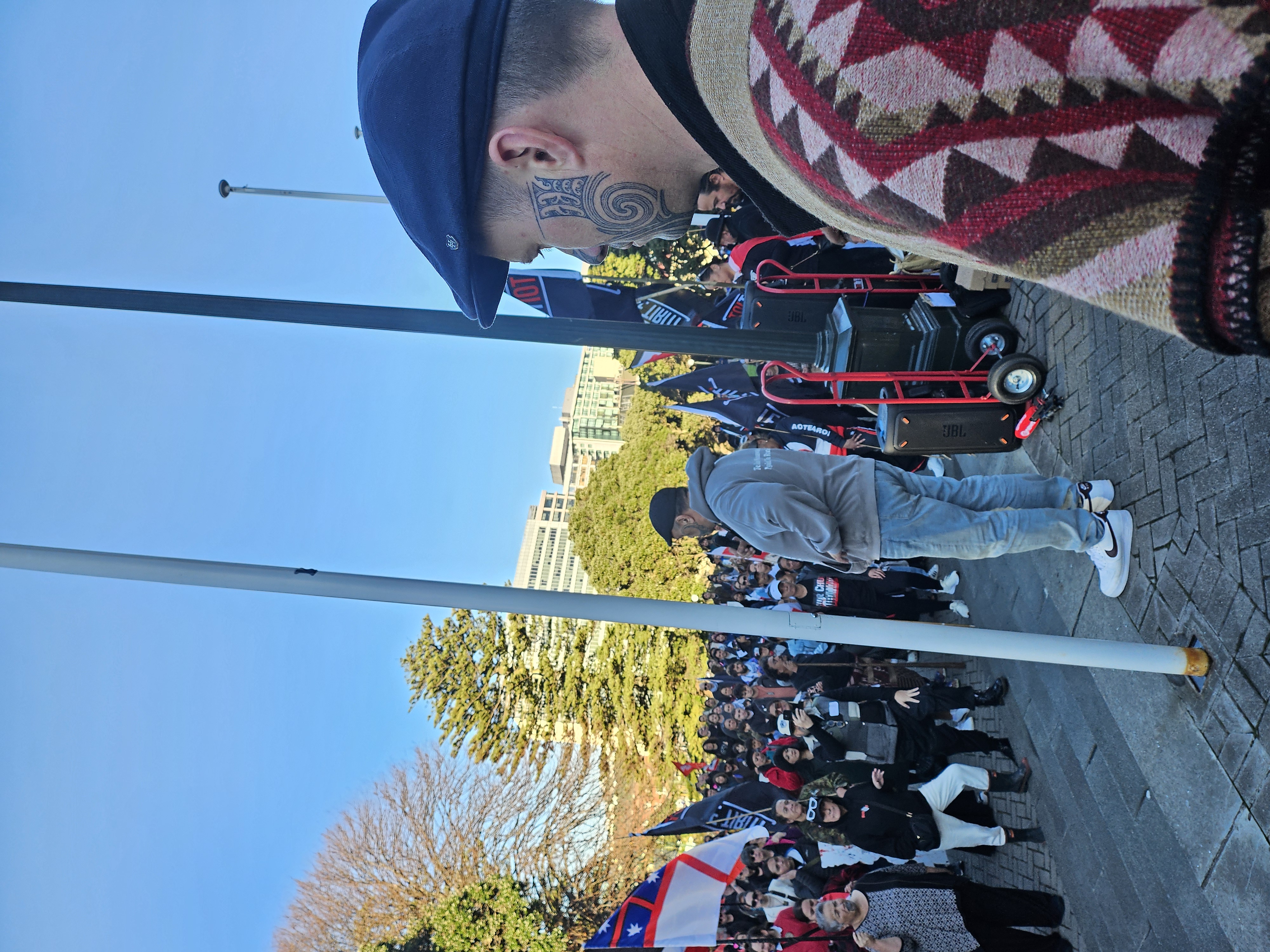 Looking out at the crowd with a few flags, from the stairs of parliament for the Toitu Te Haka Protect Rally
