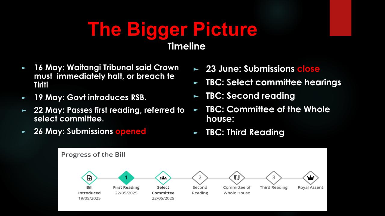 THE REGULATORY STANDARDS BILL SUBMISSIONS WORKSHOP SLIDE 10