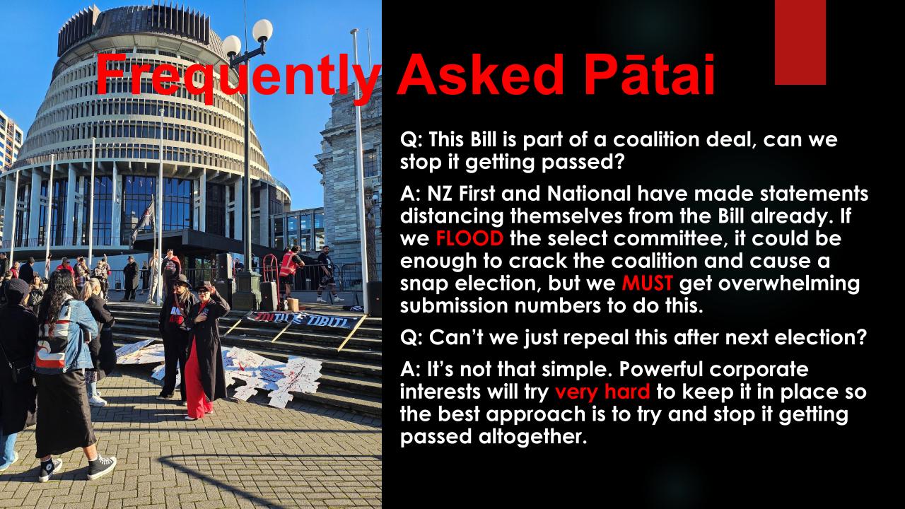 THE REGULATORY STANDARDS BILL SUBMISSIONS WORKSHOP SLIDE 12